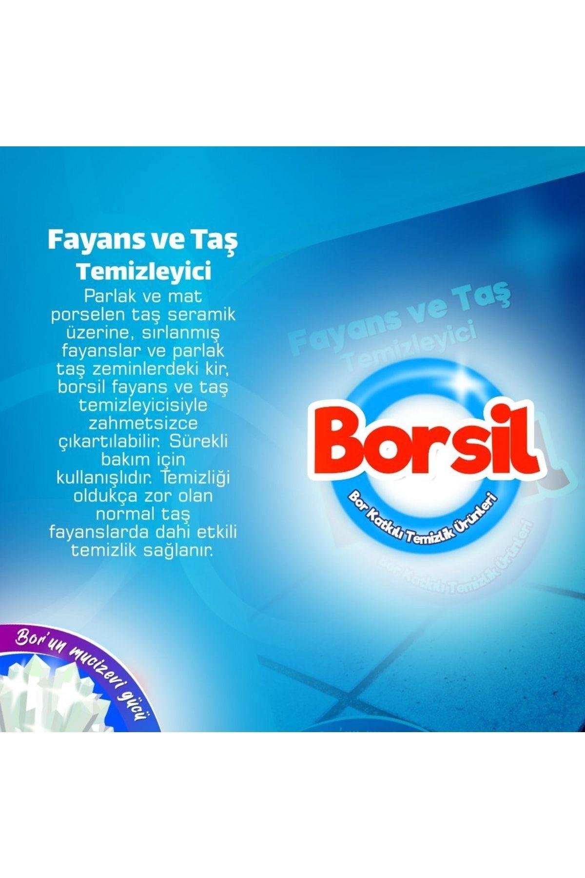 Fayans Ve Taş Temizleyicisi 500 ml