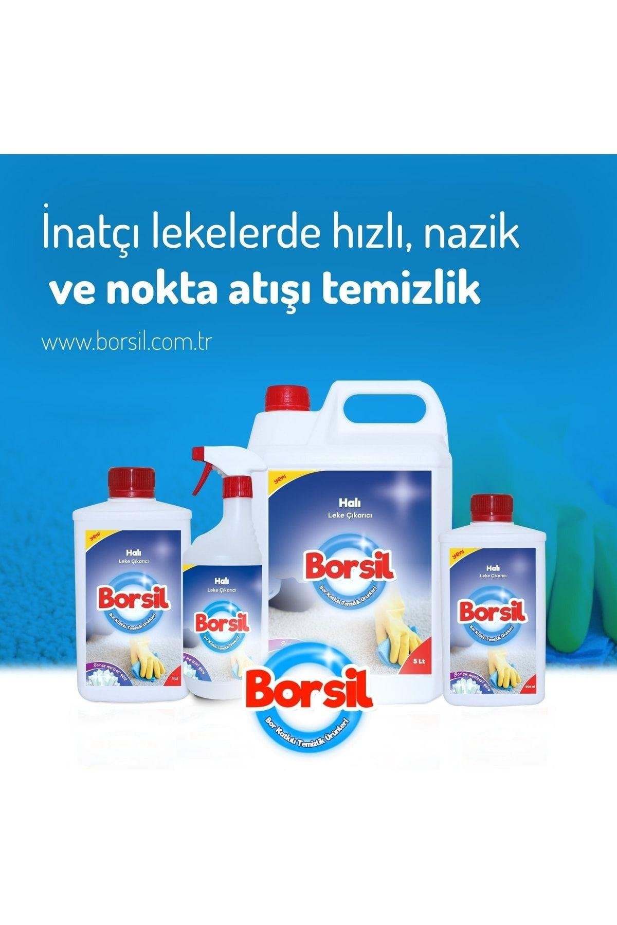 Halı Leke Çıkarıcı 500 ml