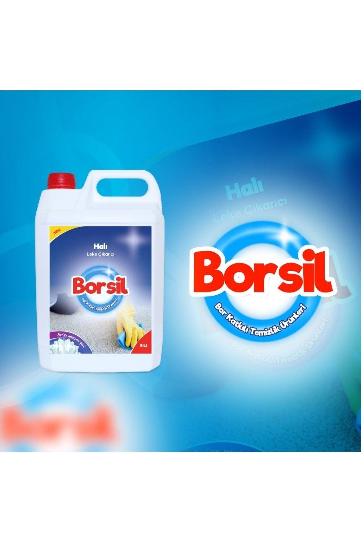 Halı Leke Çıkarıcı 500 ml