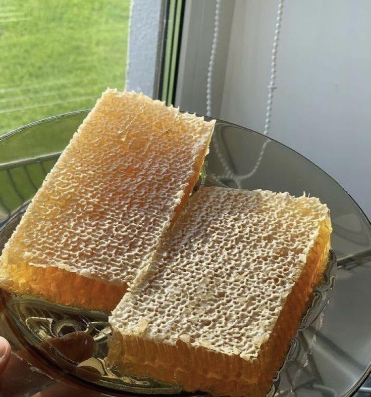 Bitlis Yüksek Yayla Petek Balı 1.5kg (KATKISIZ VE DOĞAL SAF LEZZET)