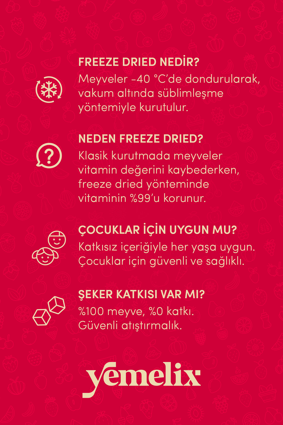3 Adet Freeze Dried Böğürtlen - Dondurularak Kurutulmuş Böğürtlen 15G
