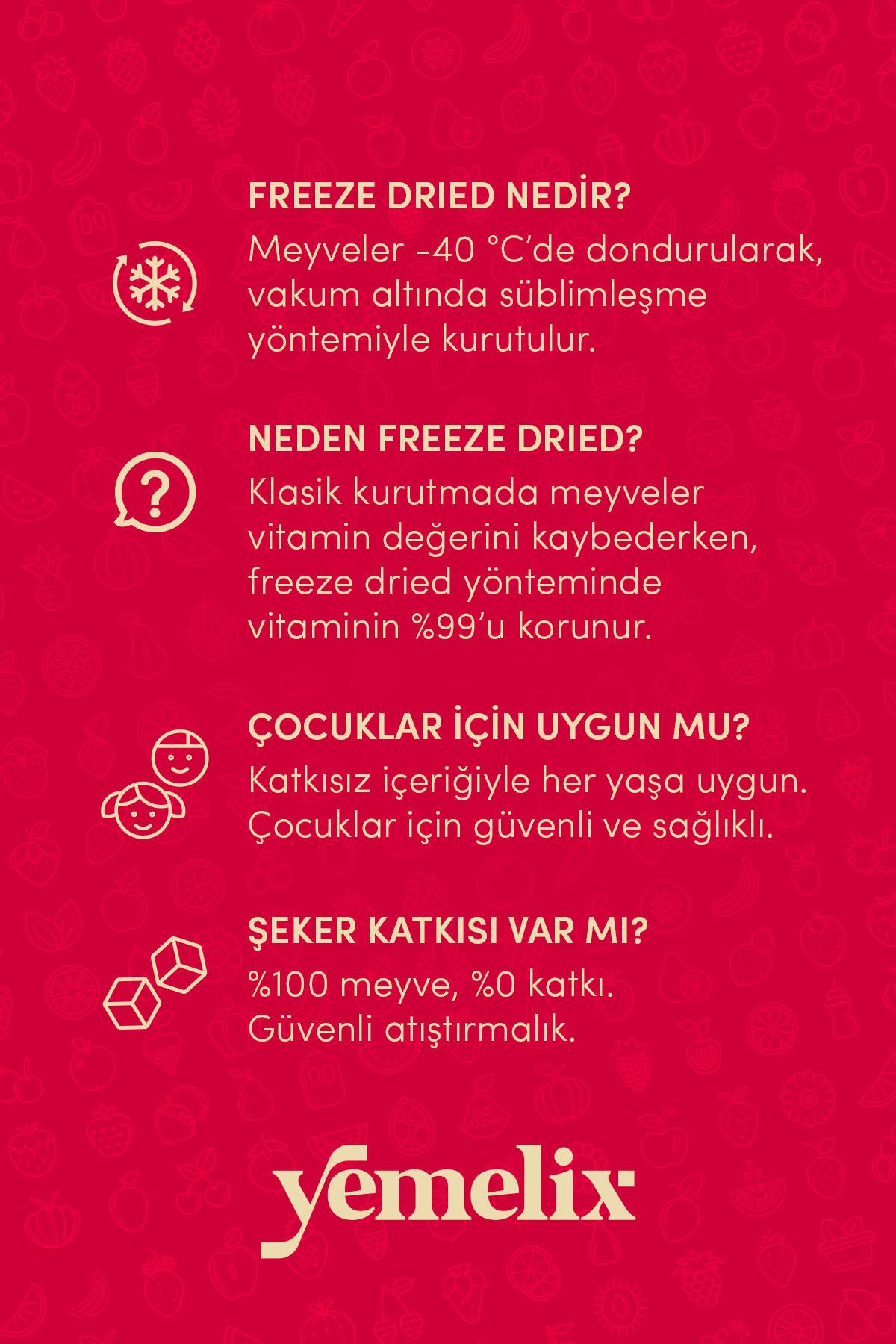 Freeze Dried Çilek Kuru Meyve Cipsi - Dondurularak Kurutulmuş Çilek 15G