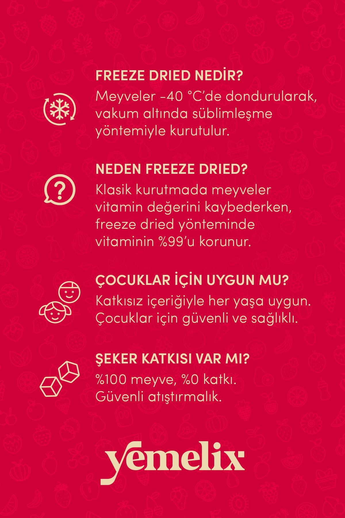 Freeze Dried Muz Kuru Meyve Cipsi - Dondurularak Kurutulmuş Muz 20G