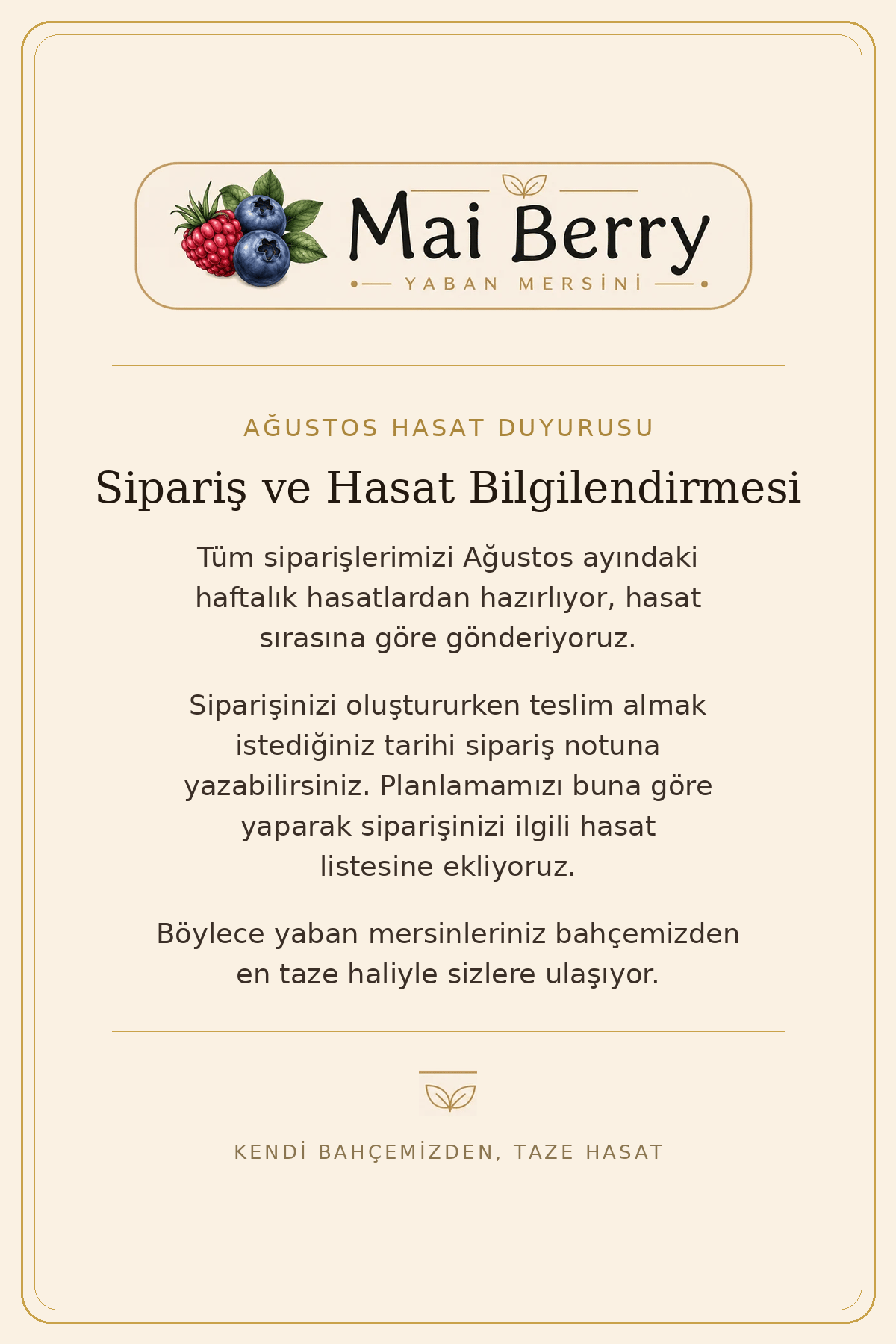 MaiBerry 3 kg Aile Paketi