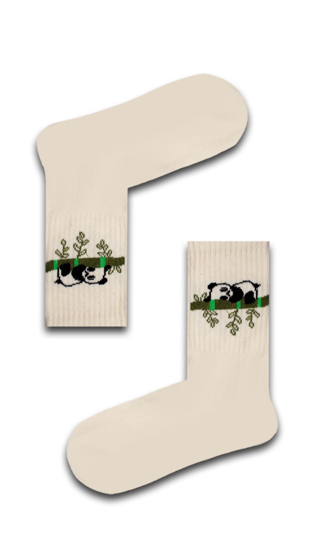 2'li Panda Renkli Çorap Set 