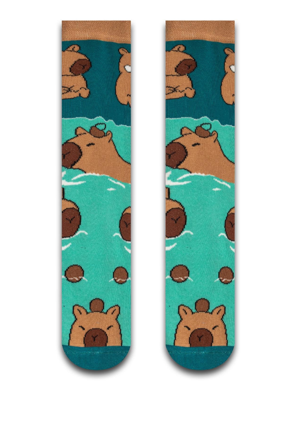 4'lü Capybara Renkli Çorap Set