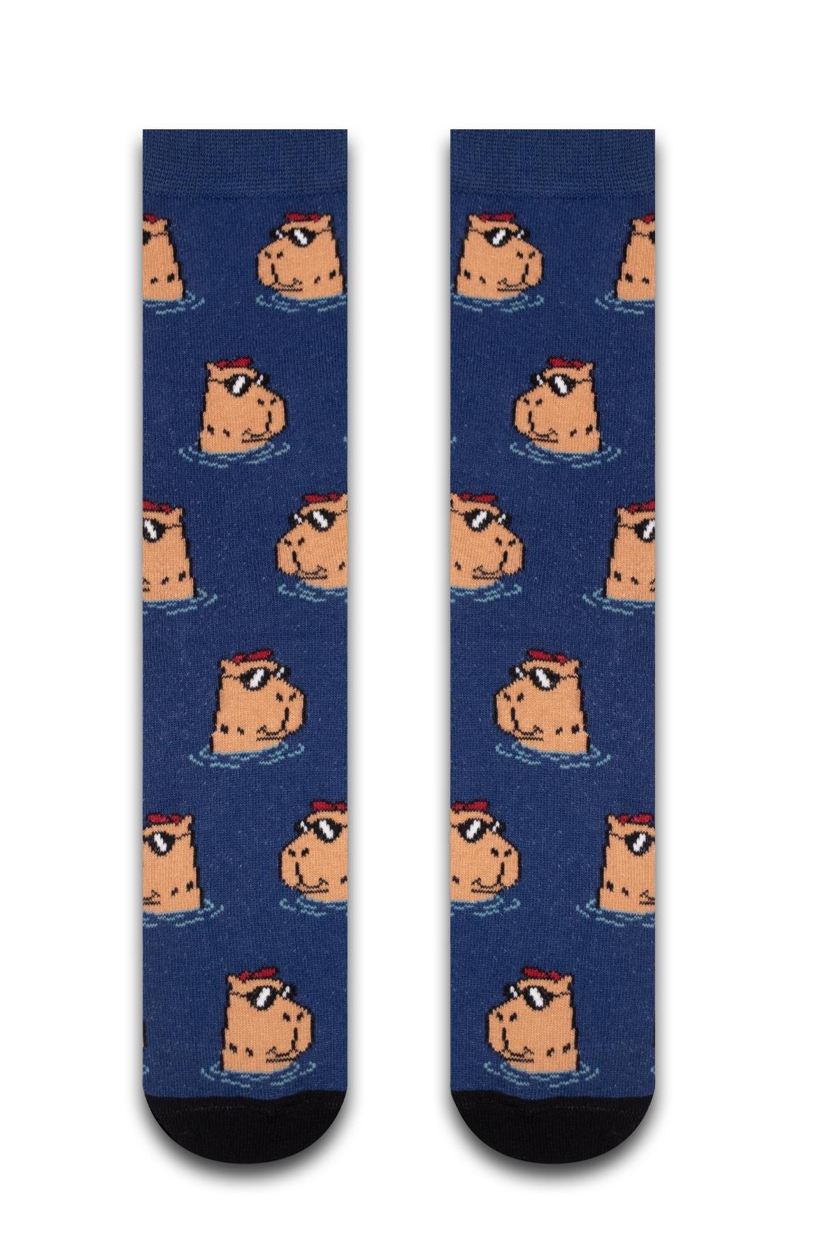 4'lü Capybara Renkli Çorap Set