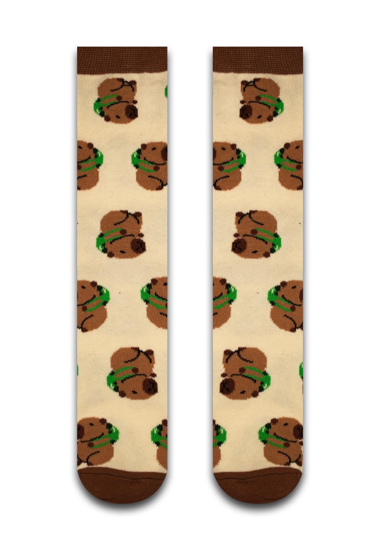 4'lü Capybara Renkli Çorap Set