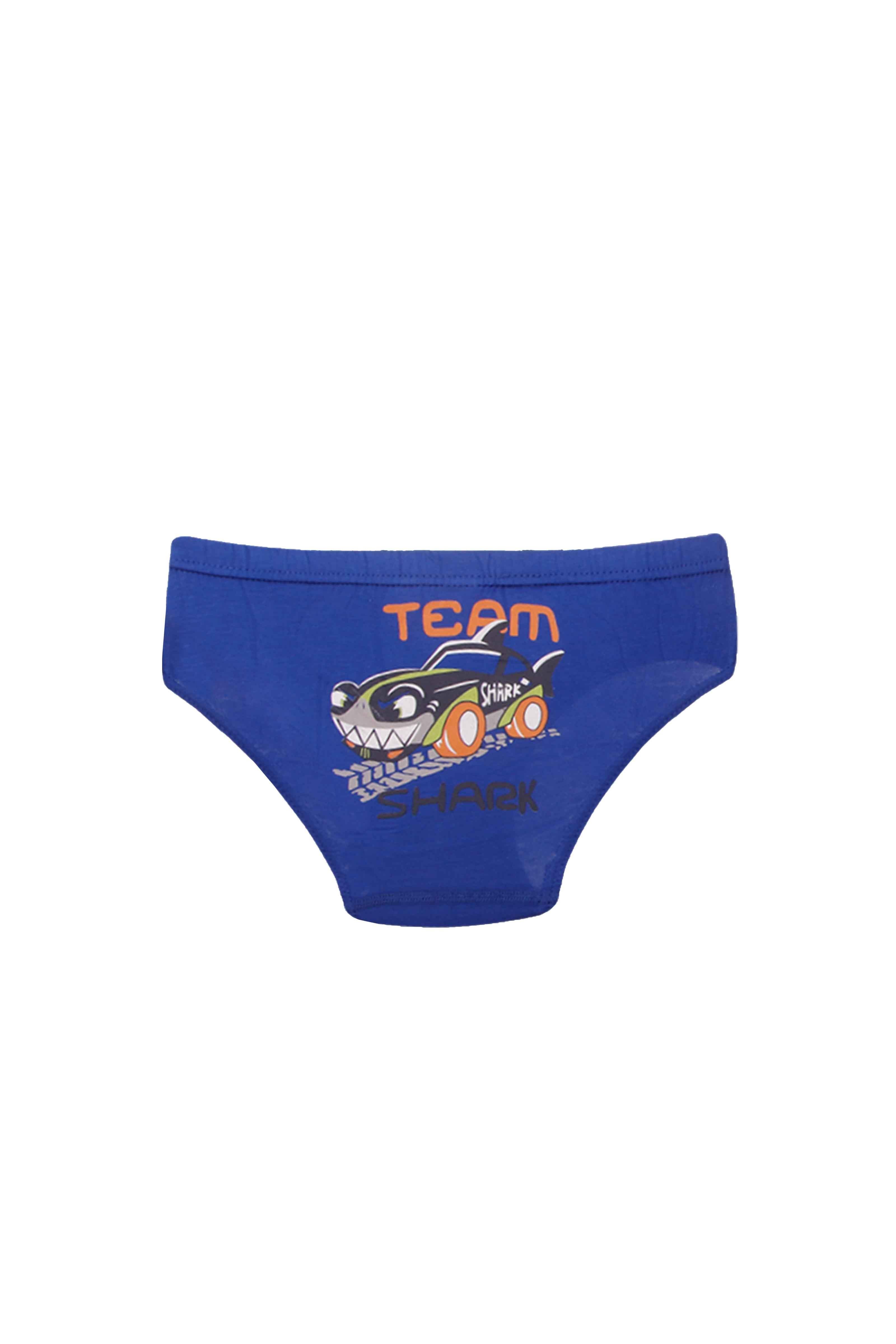 ERKEK CAMASIR - 2'Lİ SLIP