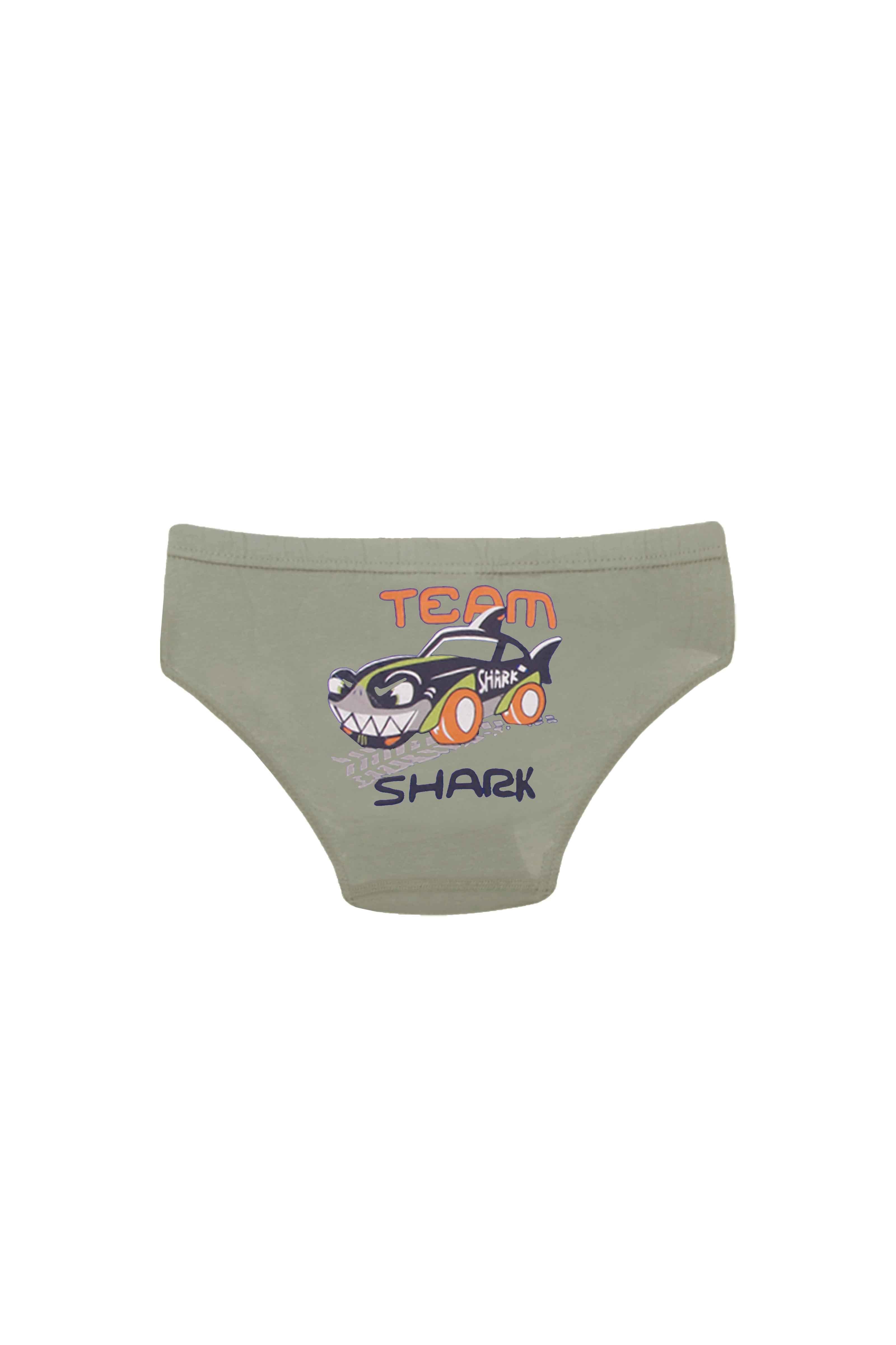 ERKEK CAMASIR - 2'Lİ SLIP