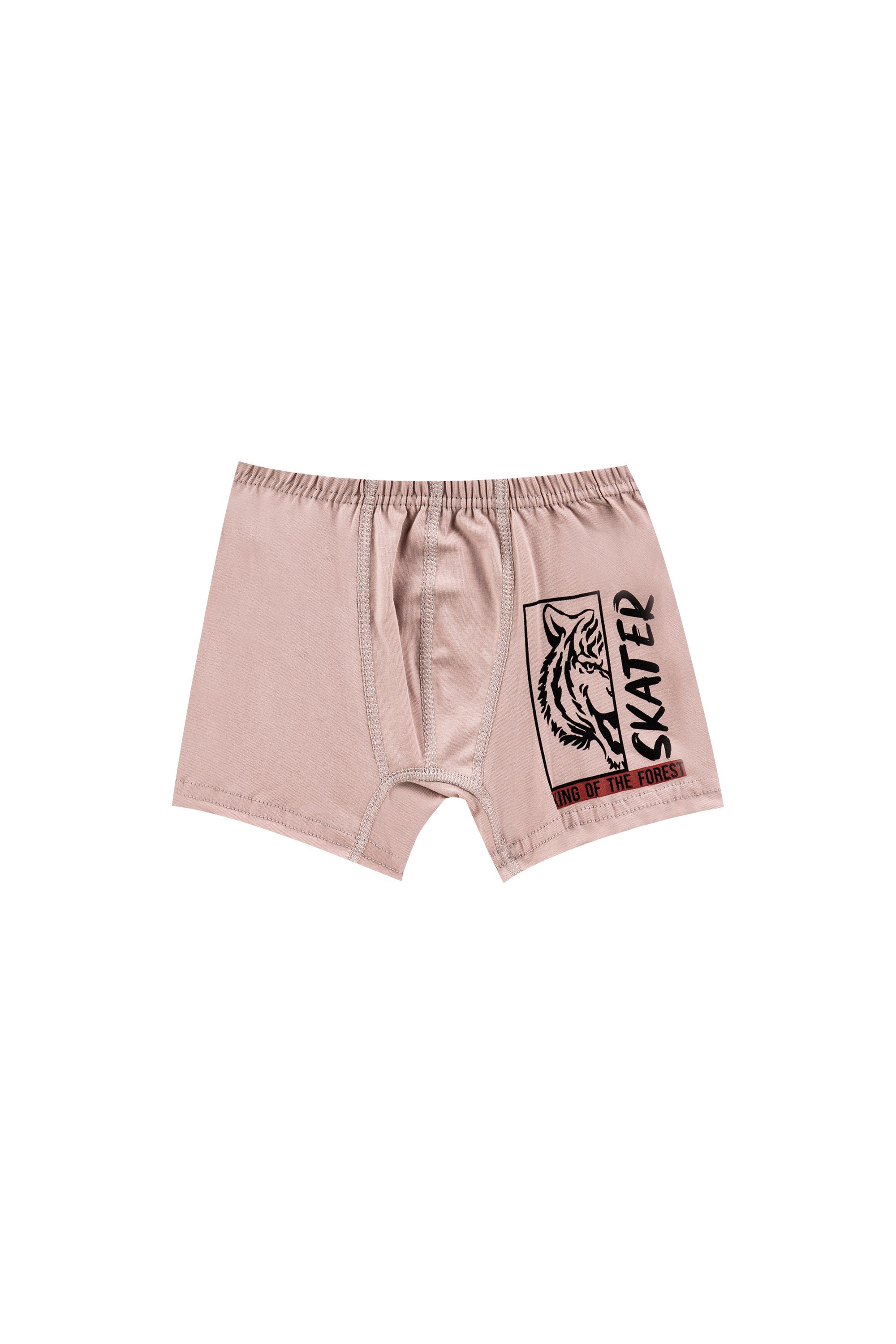 ERKEK ÇOCUK-ÇAMAŞIR - 3'LÜ BOXER