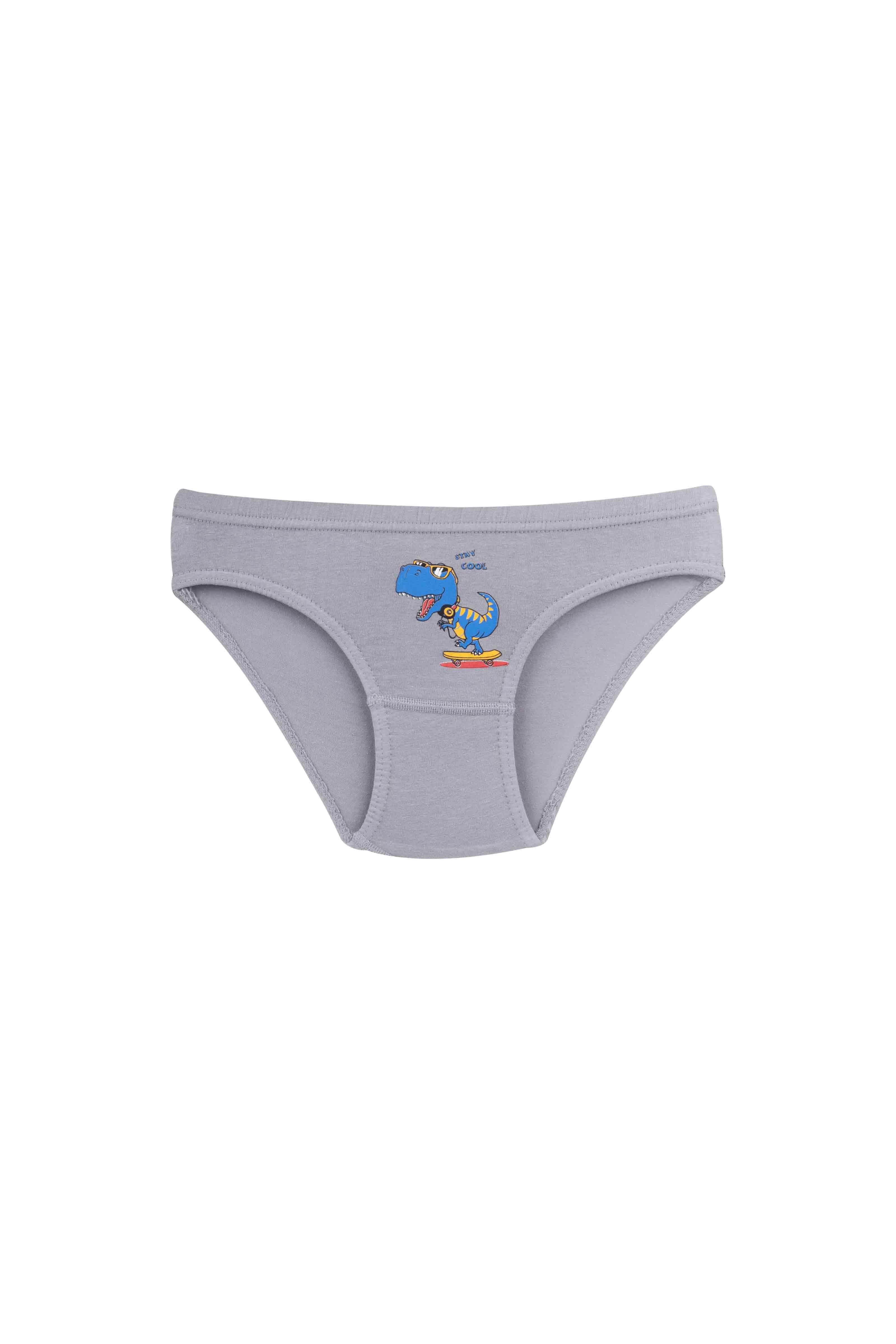 ERKEK ÇOCUK-ÇAMAŞIR - 3'LÜ SLIP