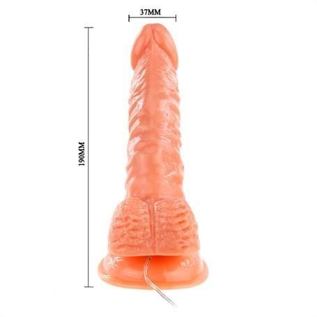 Belden Bağlamalı Penisler19 cm Belden Bağlamalı Gerçekçi Titreşimli Dildo Vibratör Penis SetLilituShop