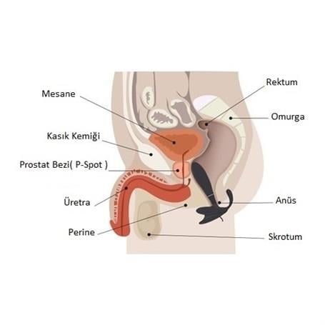 Anal Fantezi ÜrünleriAnal & Prostat Stimulator 7 Farklı Titreşimli Anal Plug P-Spot Vibratör BeyazLilituShop