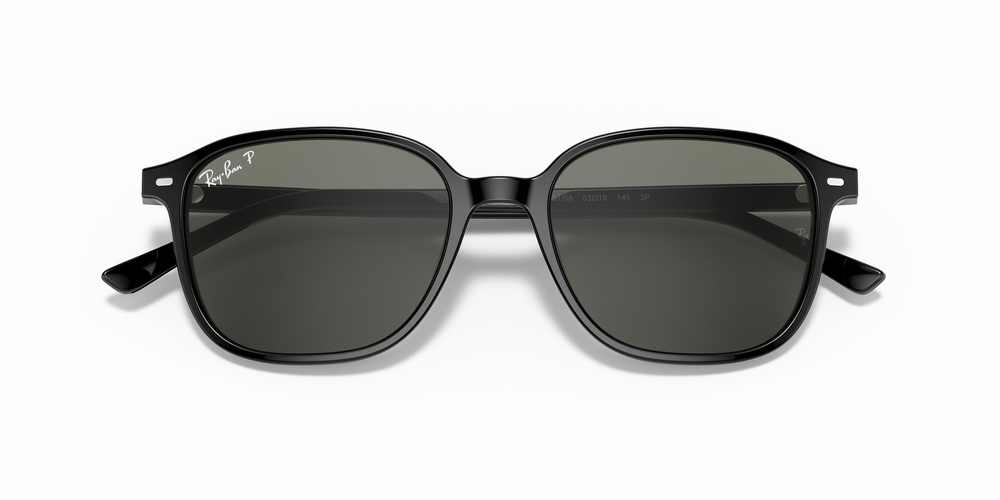 RAYBAN RB 2193 Leonard 901/58 53