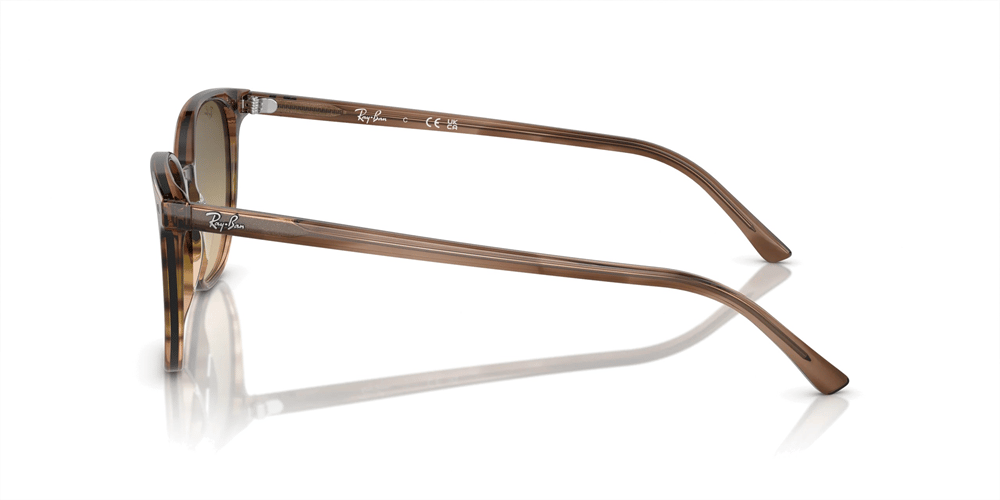 RAYBAN RB 2197 Ellıot 13920A 52