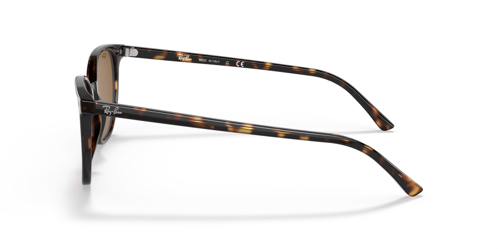 RAYBAN RB 2197 Elliot 902/33 52