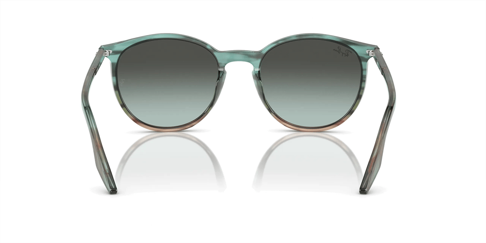 RAYBAN RB 2204 1394GK 51
