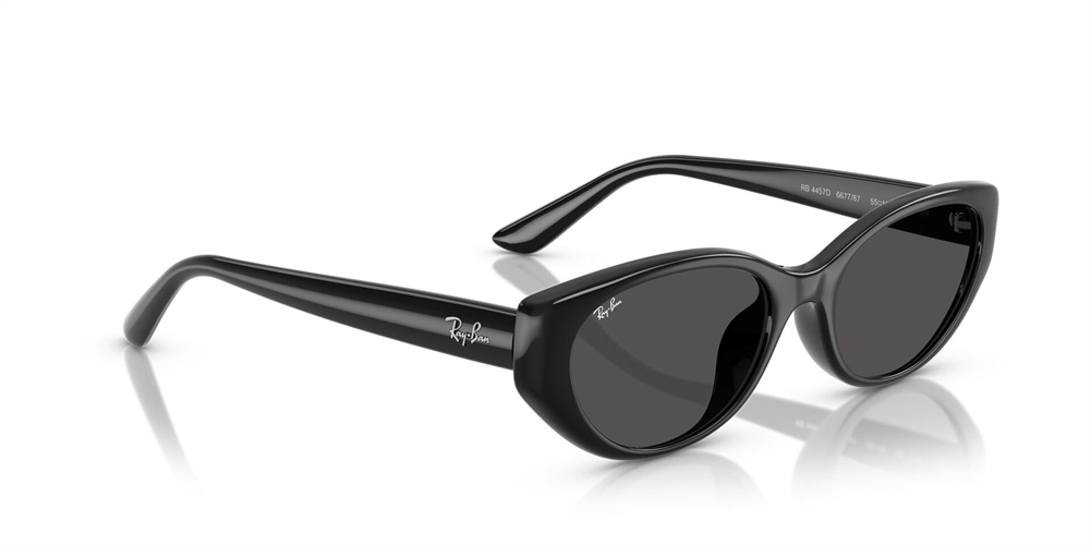 RAYBAN RB 4457D 6677/87 55