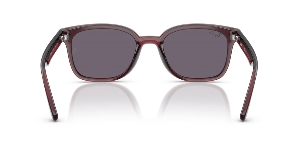RAYBAN RB 4461D 6593/73 64