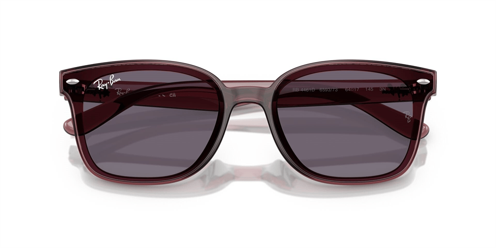 RAYBAN RB 4461D 6593/73 64