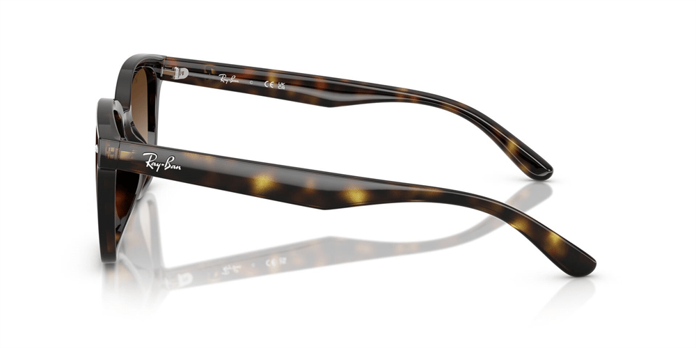 RAYBAN RB 4461D 710/13 64