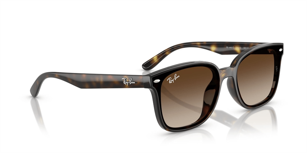RAYBAN RB 4461D 710/13 64