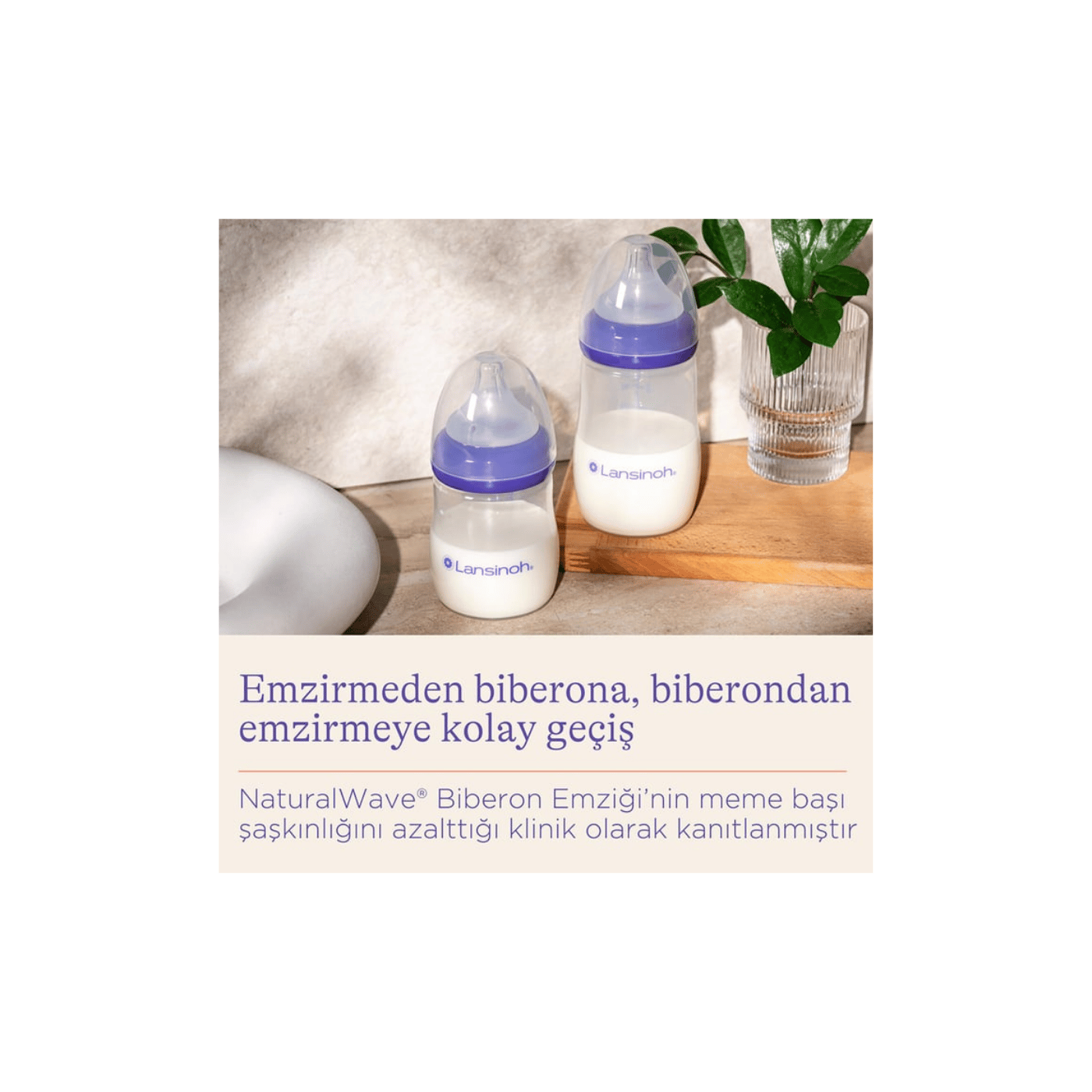 Lansinoh PP Biberon 240 ml