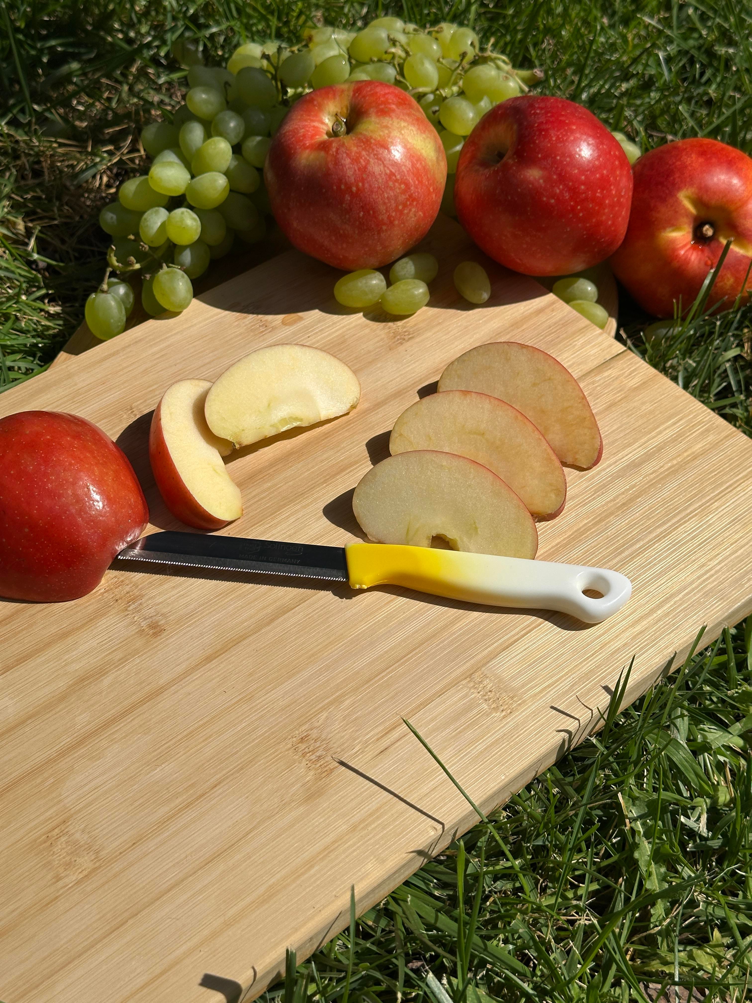 Solingen Ebruli Sarı Tırtıklı Meyve Bıçağı – 18,5 cm, Paslanmaz Alman Çeliği, Ergonomik Sap (Tekli)