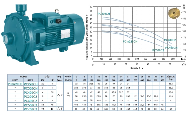 PC220CH 3 HP Temiz Su Hidrofor Pompası