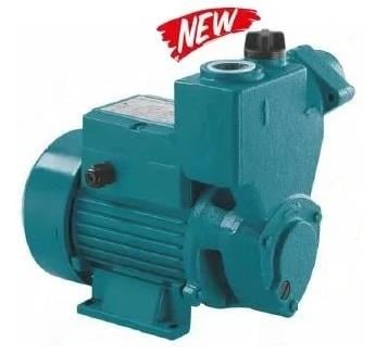 PKSm75 1 HP Kendinden Emişli Sürtme Fanlı Pompa