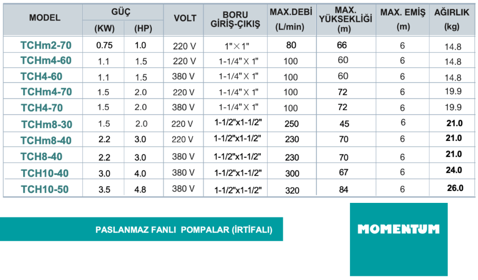 TCHM4-60 1.5 HP Döküm Gövdeli İrtifalı Temiz Su Pompası