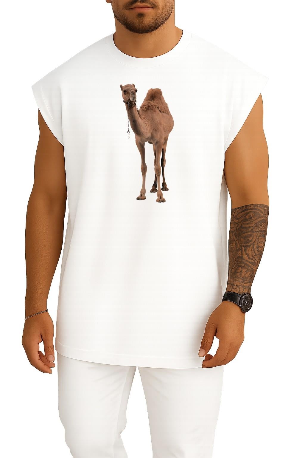 oversize-dromedary-bactrian-deve-deve--858e4f.jpg