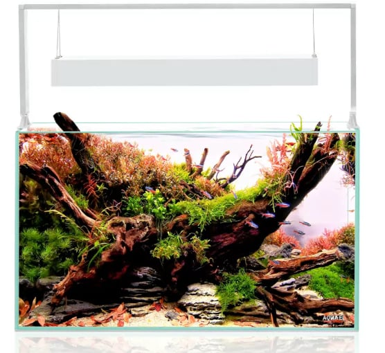 Aquael Ultrascape 60 Snow Set