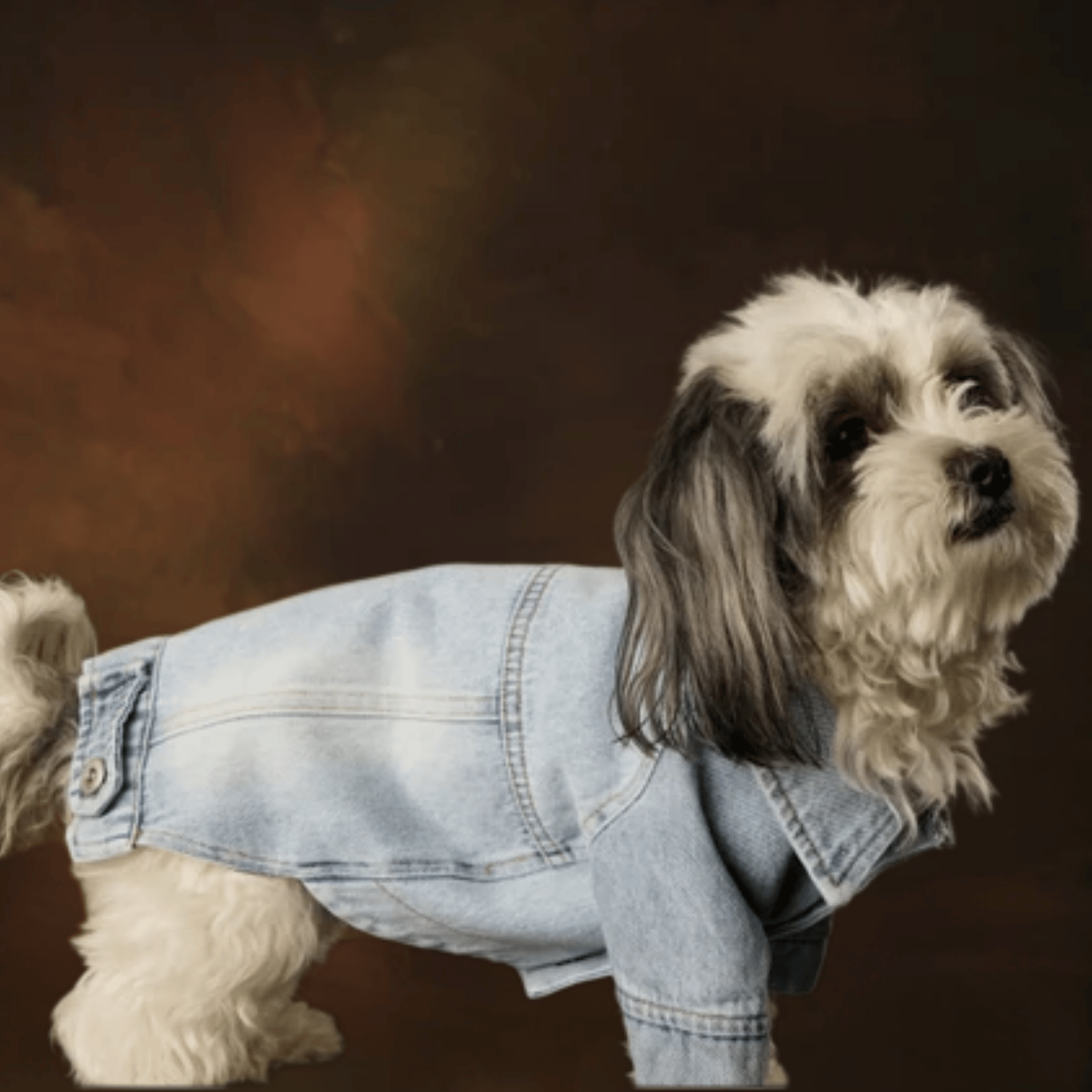 Be Design Evi Hera Denim Kedi & Köpek Ceket