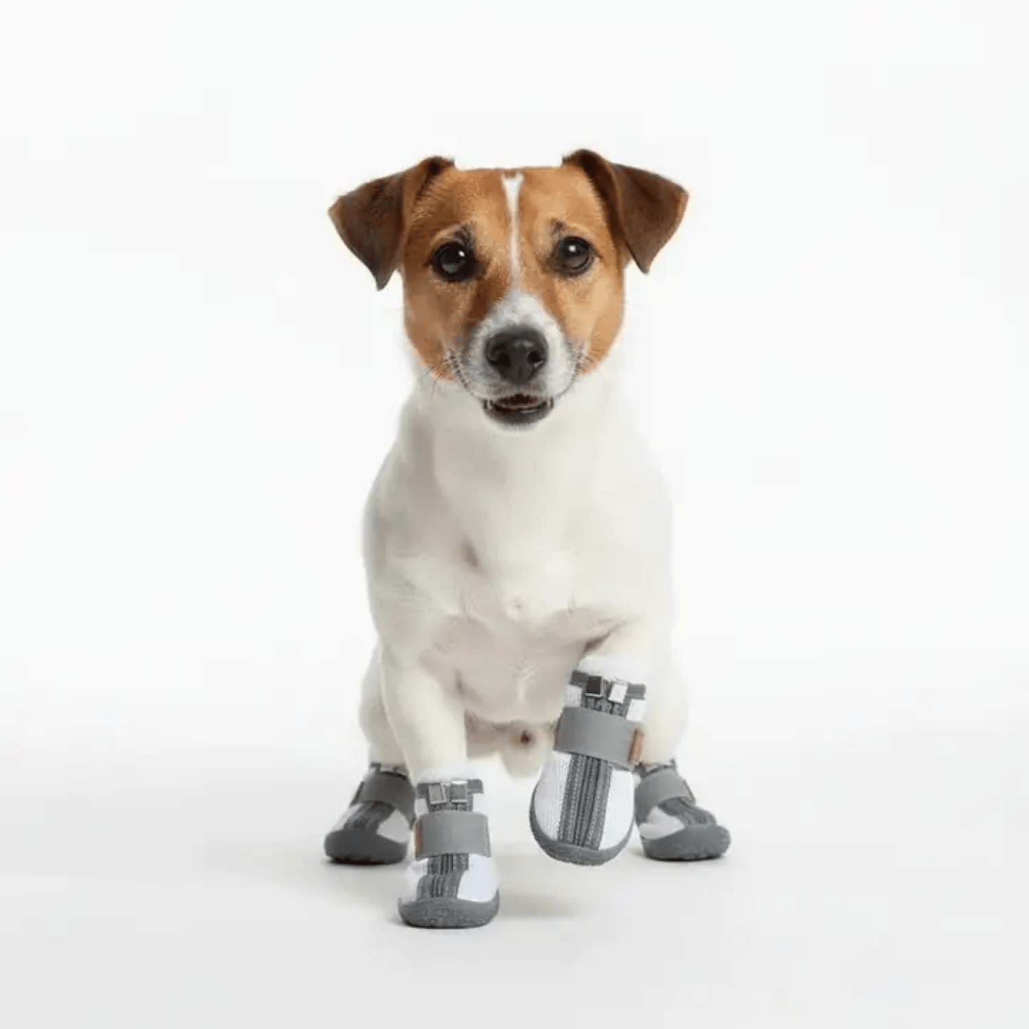 Be Design Fermuarlı Gri Beyaz Köpek Ayakkabısı