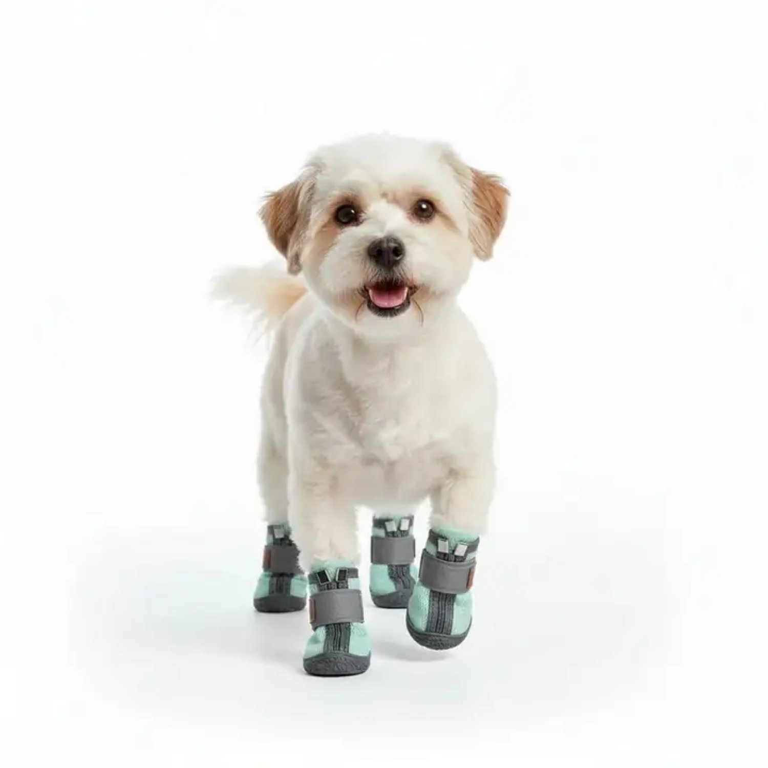 Be Design Fermuarlı Gri Yeşil Köpek Ayakkabısı