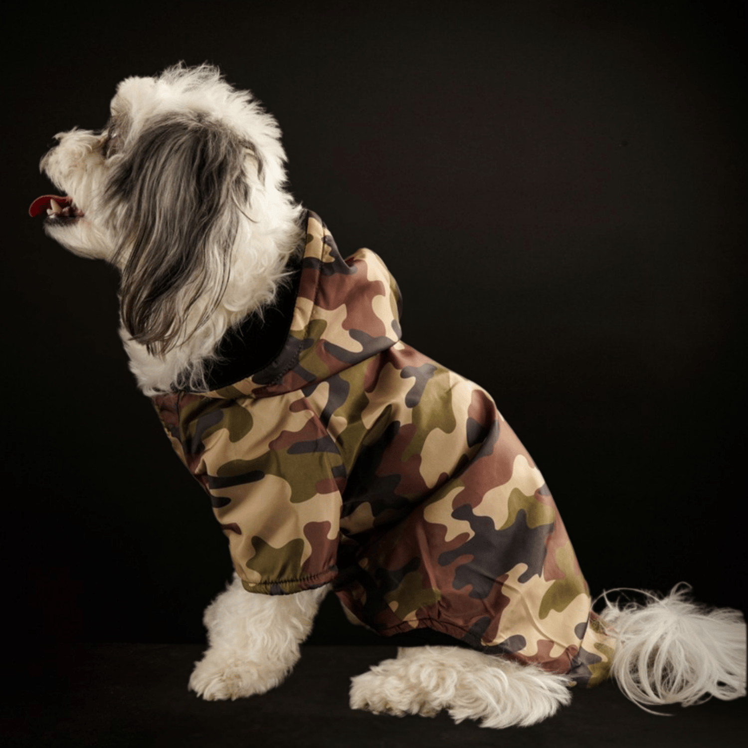 Be Design Fire Kedi & Köpek Yağmurluk