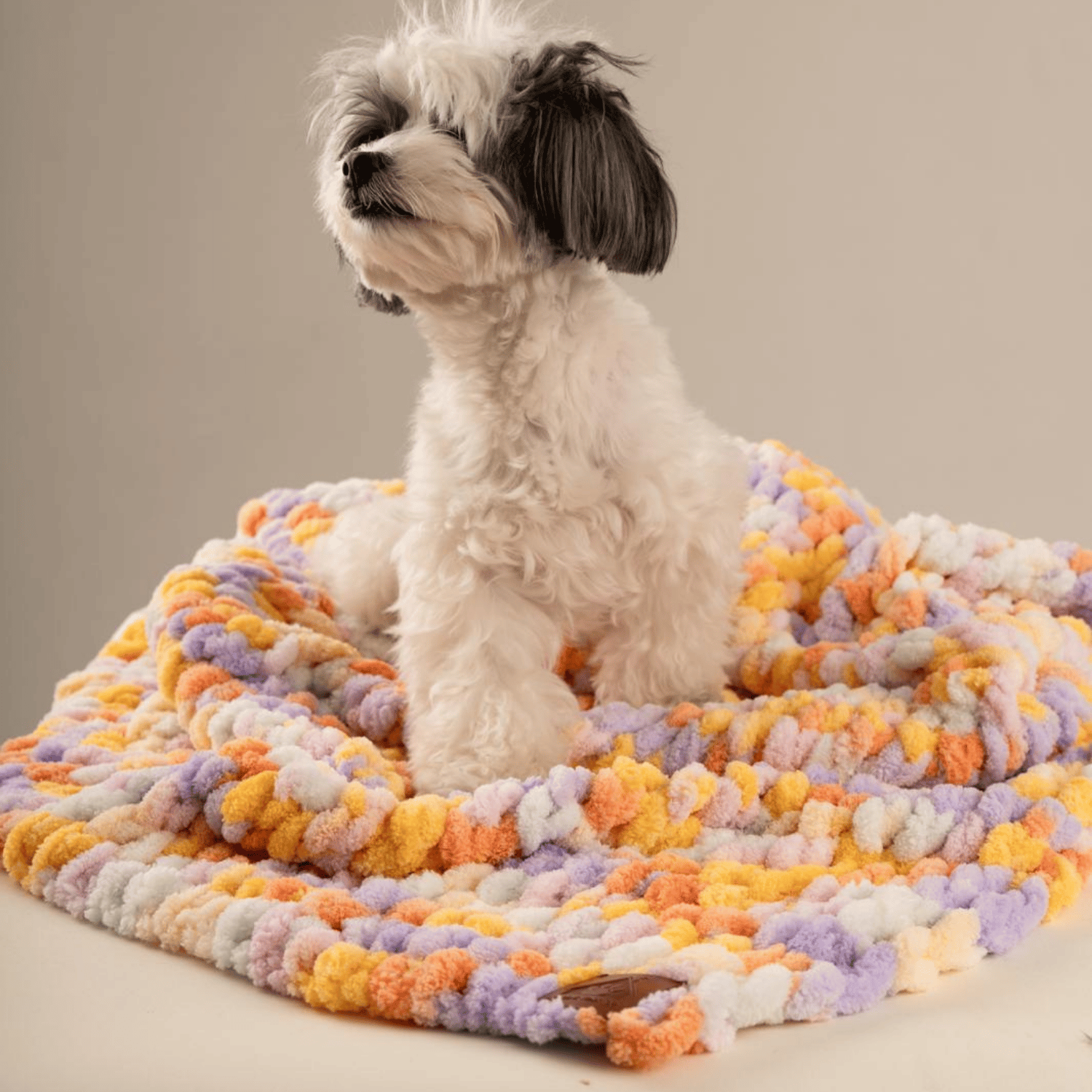 Be Design Premium Köpek Battaniyesi – Soft Dokulu NO:4