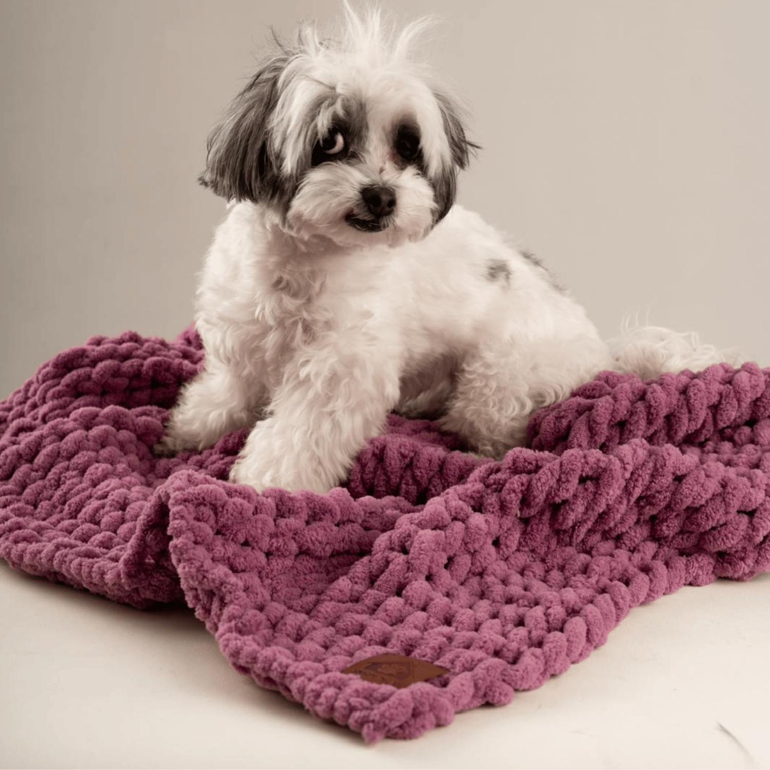 Be Design Premium Köpek Battaniyesi – Soft Dokulu NO:5