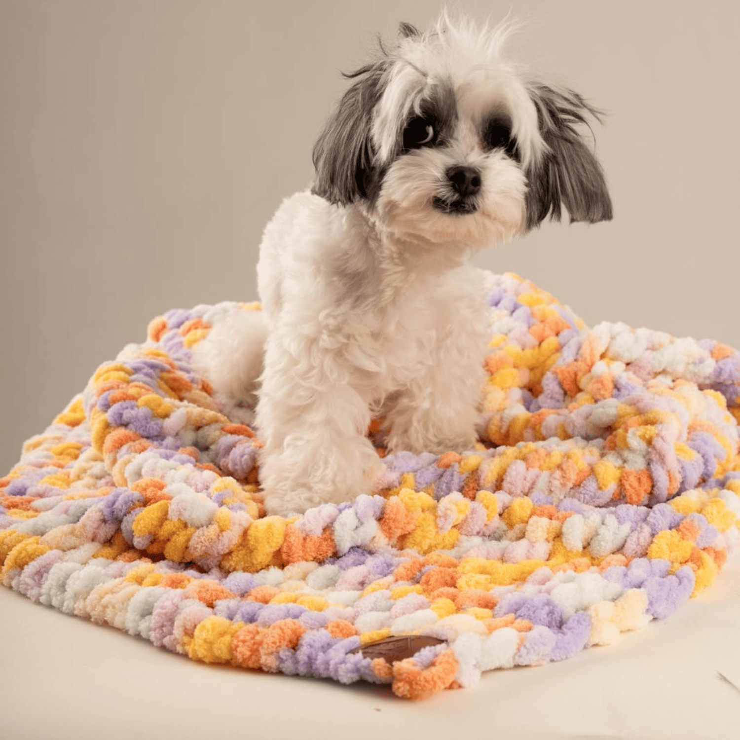 Be Design Premium Köpek Battaniyesi – Soft Dokulu NO:4