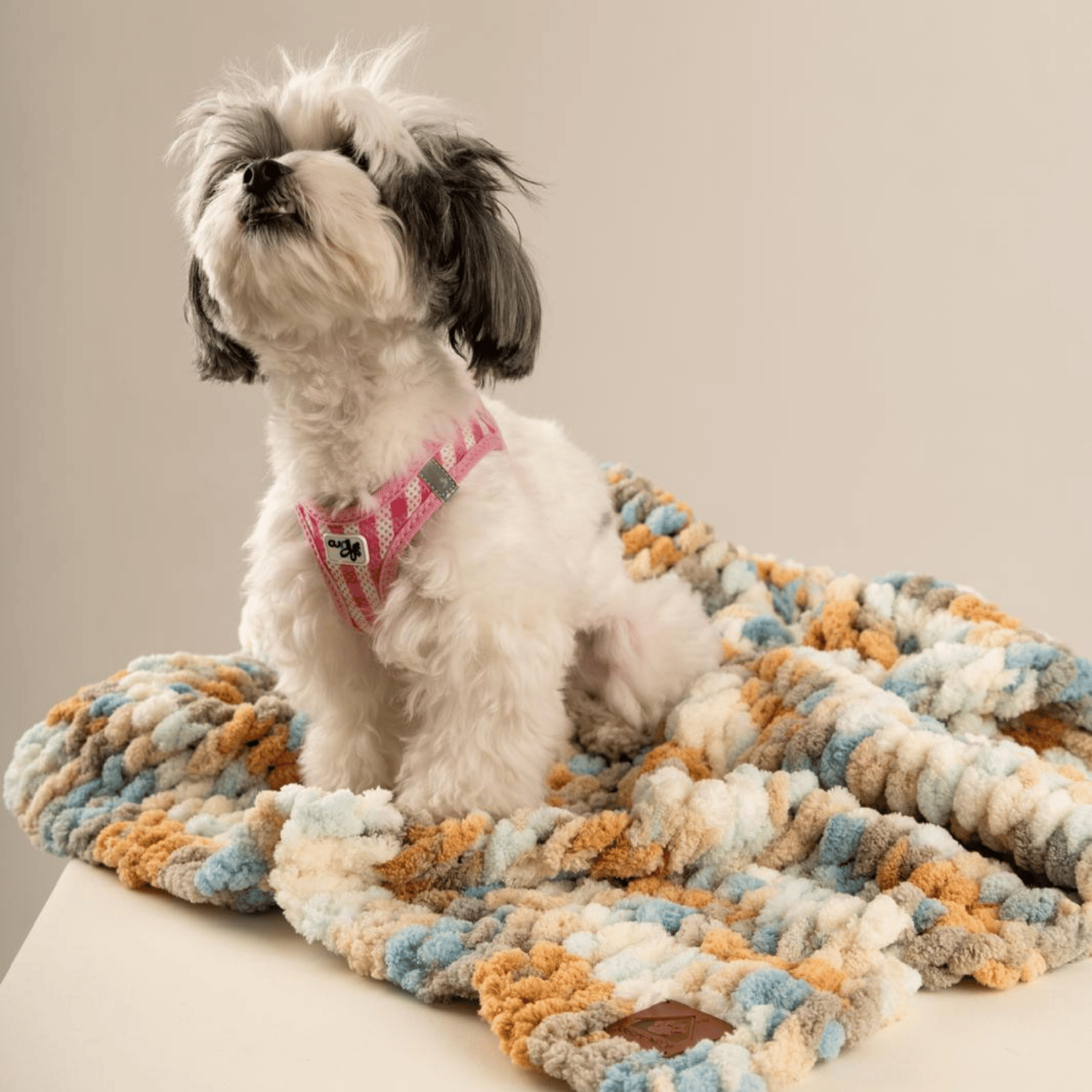 Be Design Premium Köpek Battaniyesi – Soft Dokulu NO:2