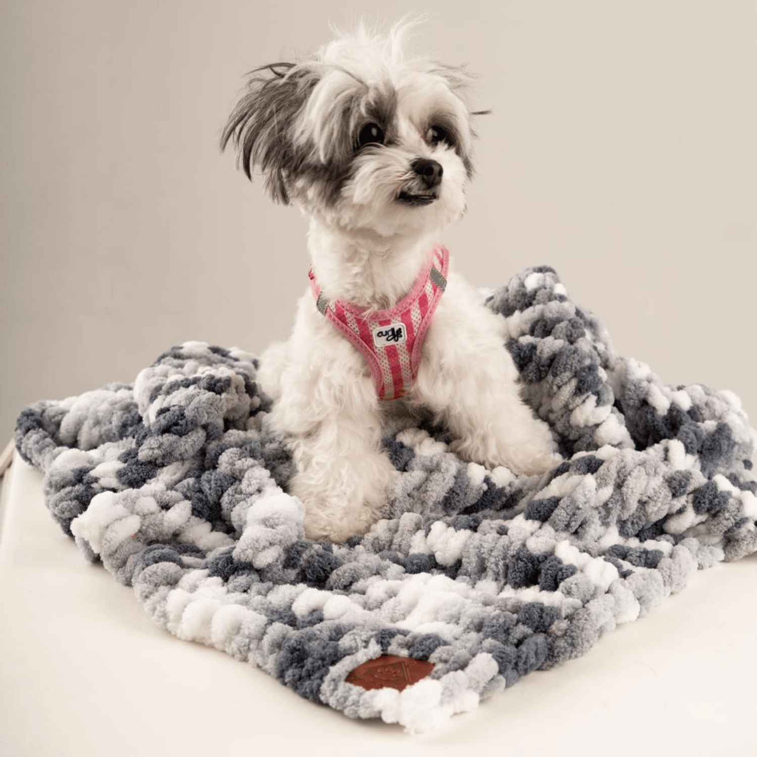Be Design Premium Köpek Battaniyesi – Soft Dokulu NO:3