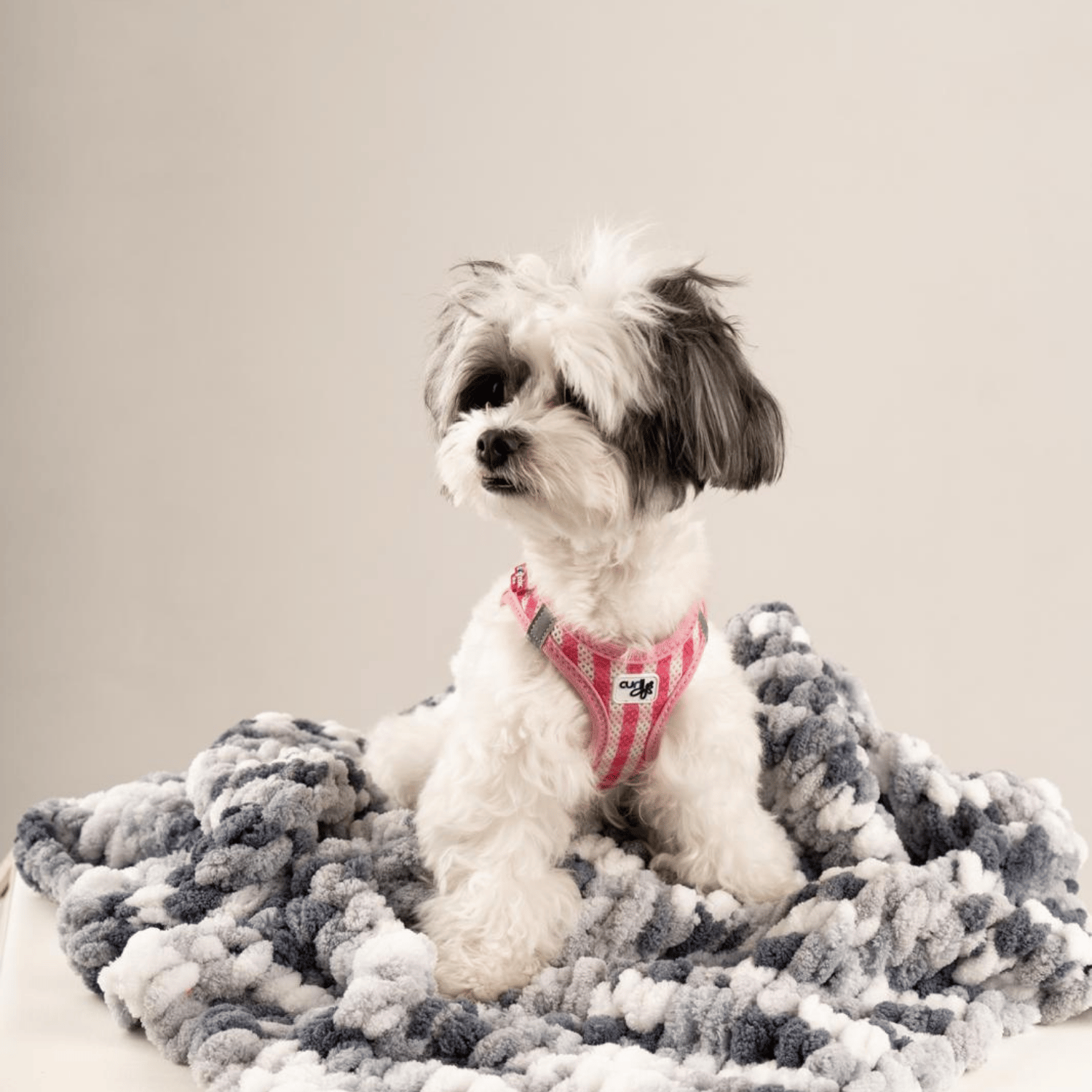 Be Design Premium Köpek Battaniyesi – Soft Dokulu NO:3