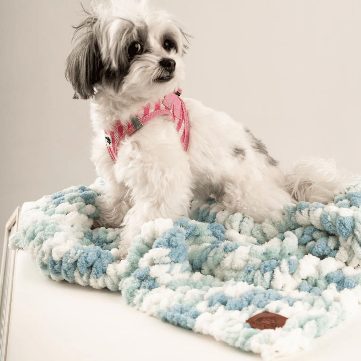 Be Design Premium Köpek Battaniyesi – Soft Dokulu NO:1