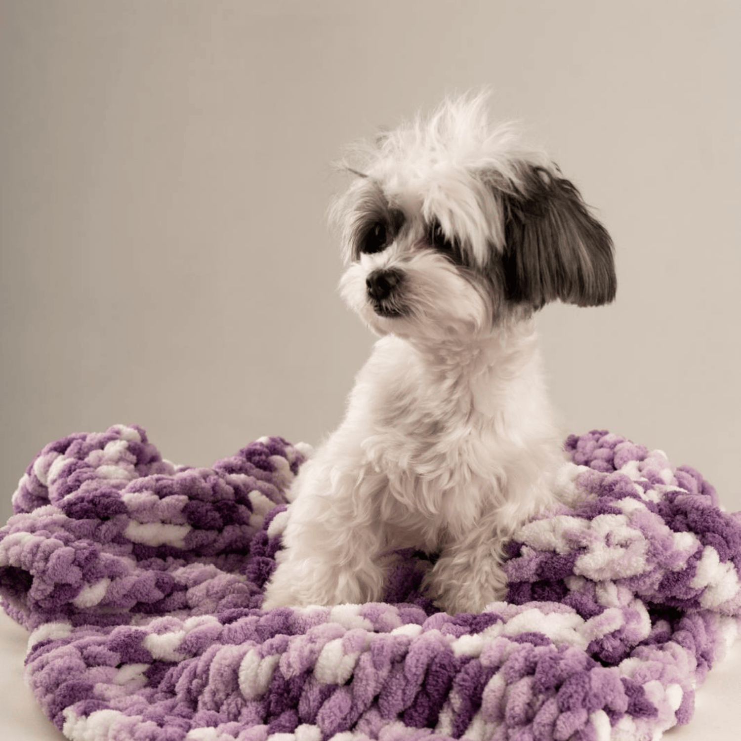 Be Design Premium Köpek Battaniyesi – Soft Dokulu NO:10