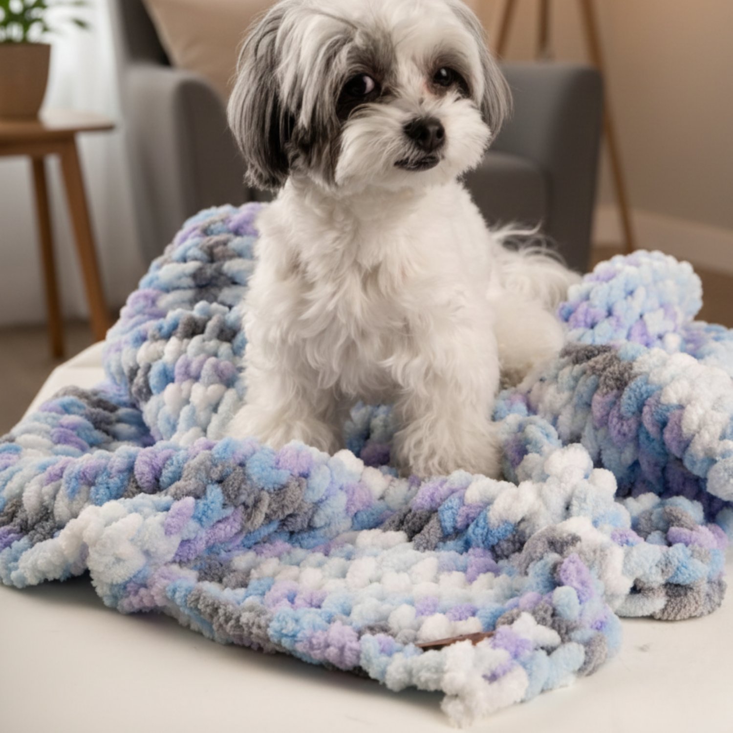 Be Design Premium Köpek Battaniyesi – Soft Dokulu NO:9