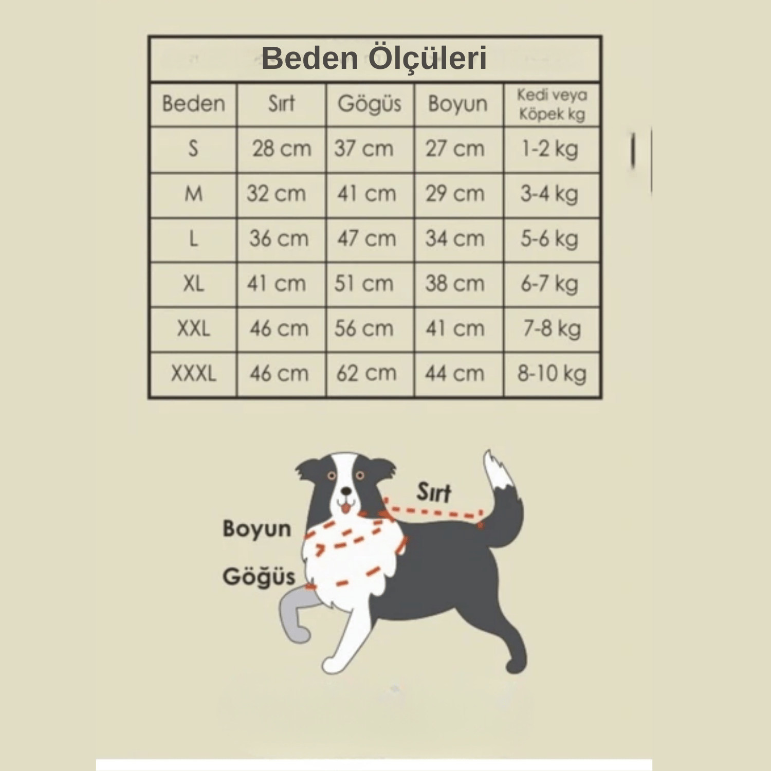 Be Design Scholl Kedi & Köpek Mont