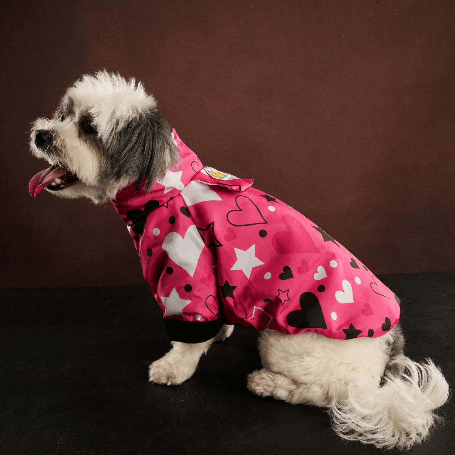 Be Design Star Kedi & Köpek Mont