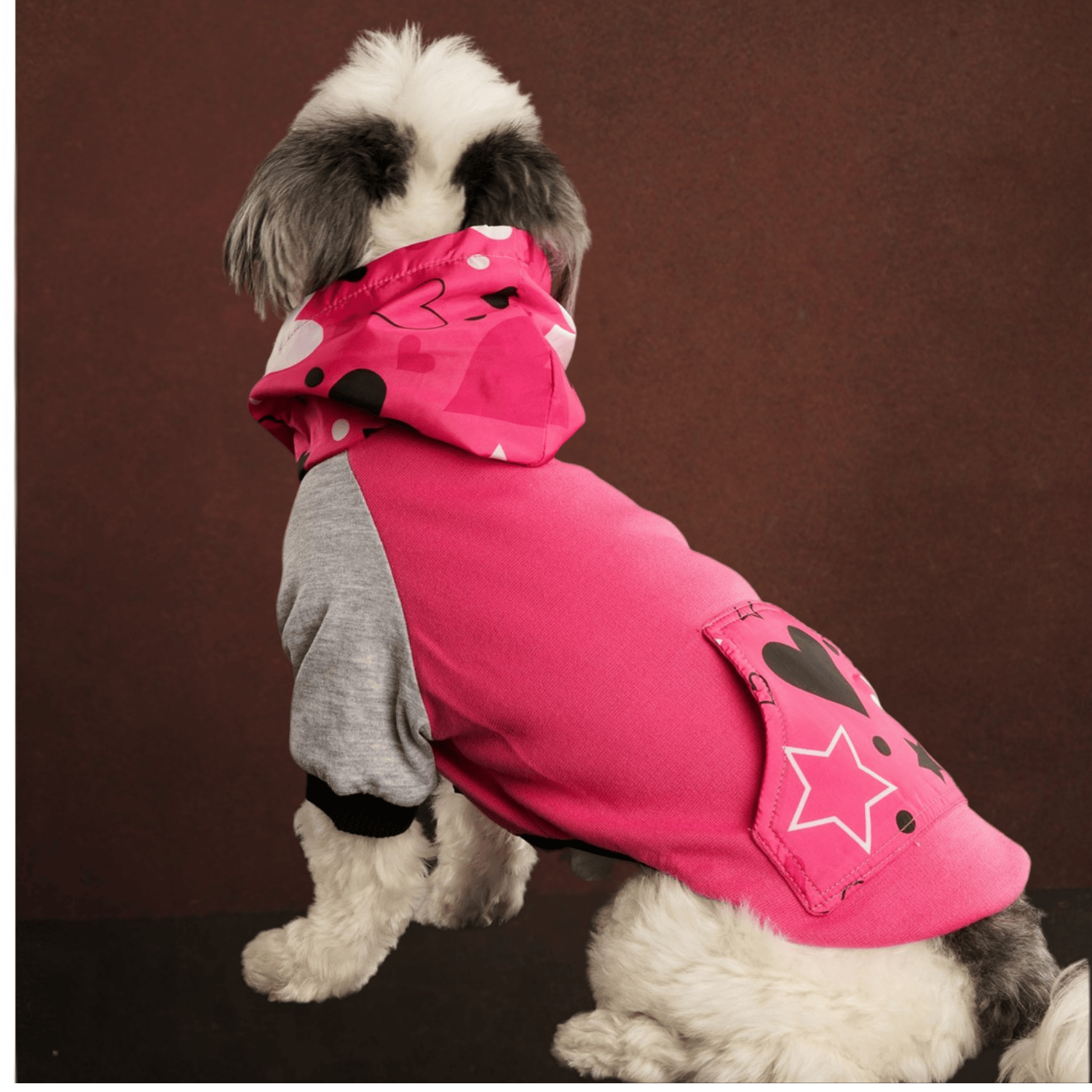 Be Design Star Kedi & Köpek Sweatshirt